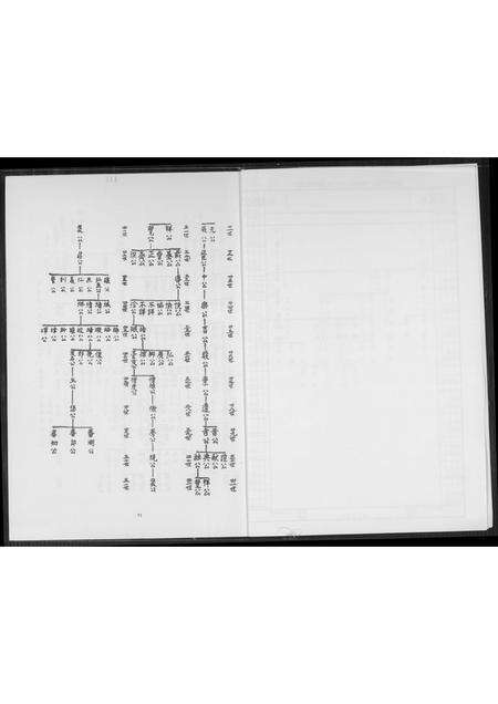 福建王氏族谱-王美记族谱.开闽金陵派渡台始祖尊炳公世系履历.pdf电子版预览图5