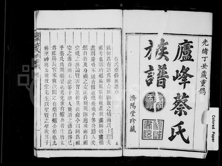 福建蔡氏-庐峰蔡氏族谱.pdf电子版预览图2