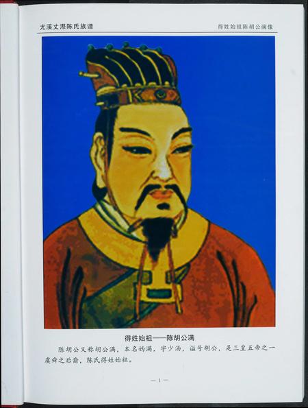 福建陈氏-丈漈陈氏族谱.pdf电子版预览图3