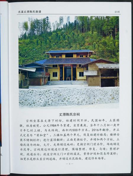 福建陈氏-丈漈陈氏族谱.pdf电子版预览图5