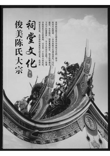 福建陈氏-俊美陈氏大宗祠堂文化.pdf电子版缩略图