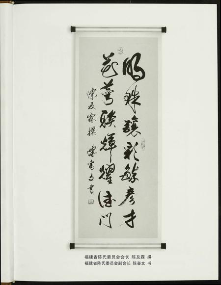 福建陈氏-天下贡川陈.pdf电子版预览图2