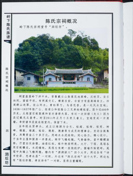 福建陈氏-岭下陈氏族谱泗坵坊.pdf电子版预览图4
