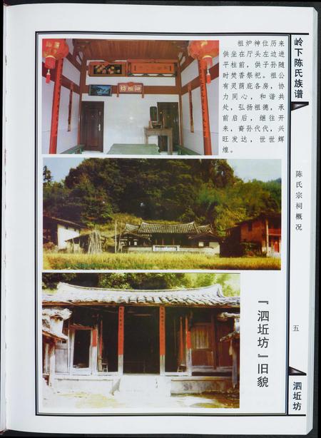 福建陈氏-岭下陈氏族谱泗坵坊.pdf电子版预览图5