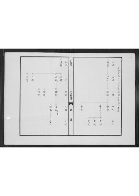 福建陈氏-涵江分派安平皇恩境陈氏三房私谱.pdf电子版预览图1