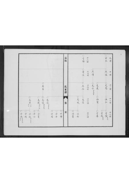 福建陈氏-涵江分派安平皇恩境陈氏三房私谱.pdf电子版预览图2