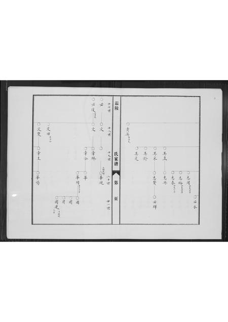 福建陈氏-涵江分派安平皇恩境陈氏三房私谱.pdf电子版预览图3