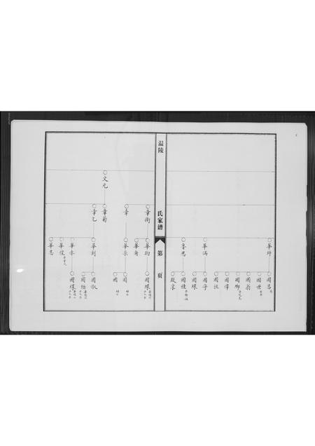 福建陈氏-涵江分派安平皇恩境陈氏三房私谱.pdf电子版预览图4