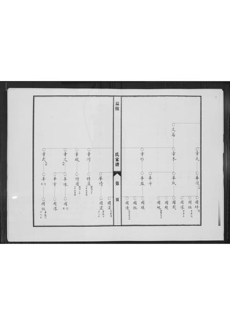 福建陈氏-涵江分派安平皇恩境陈氏三房私谱.pdf电子版预览图5