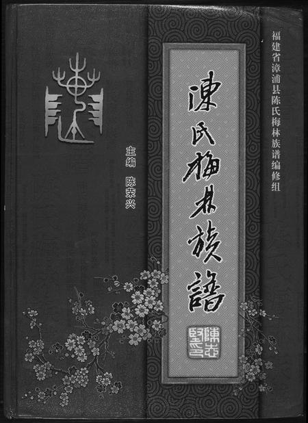 福建陈氏-漳浦县梅林陈氏族谱.pdf电子版缩略图