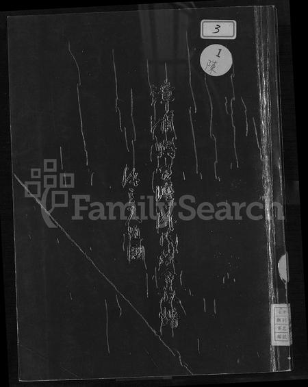 福建陈氏-漳浦与台湾陈氏综合族谱 [不分卷].pdf电子版缩略图