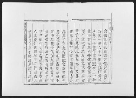 福建陈氏-颍川陈氏宗谱[5卷].pdf电子版预览图5