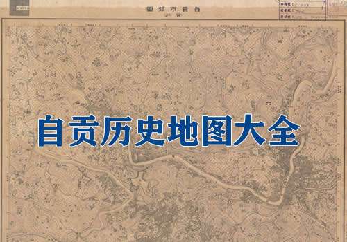 解放战争鲁南鲁西南战役高清作战经过要图缩略图