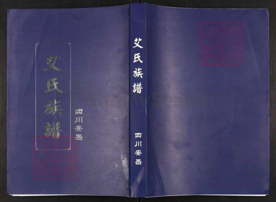 四川省资阳市安岳县艾氏族谱-普州艾氏族谱.pdf电子版缩略图