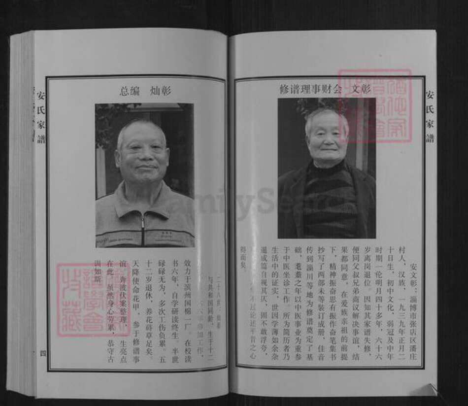 山东省滨州市邹平市临池镇安氏族谱-于陵安氏家谱.pdf电子版预览图5