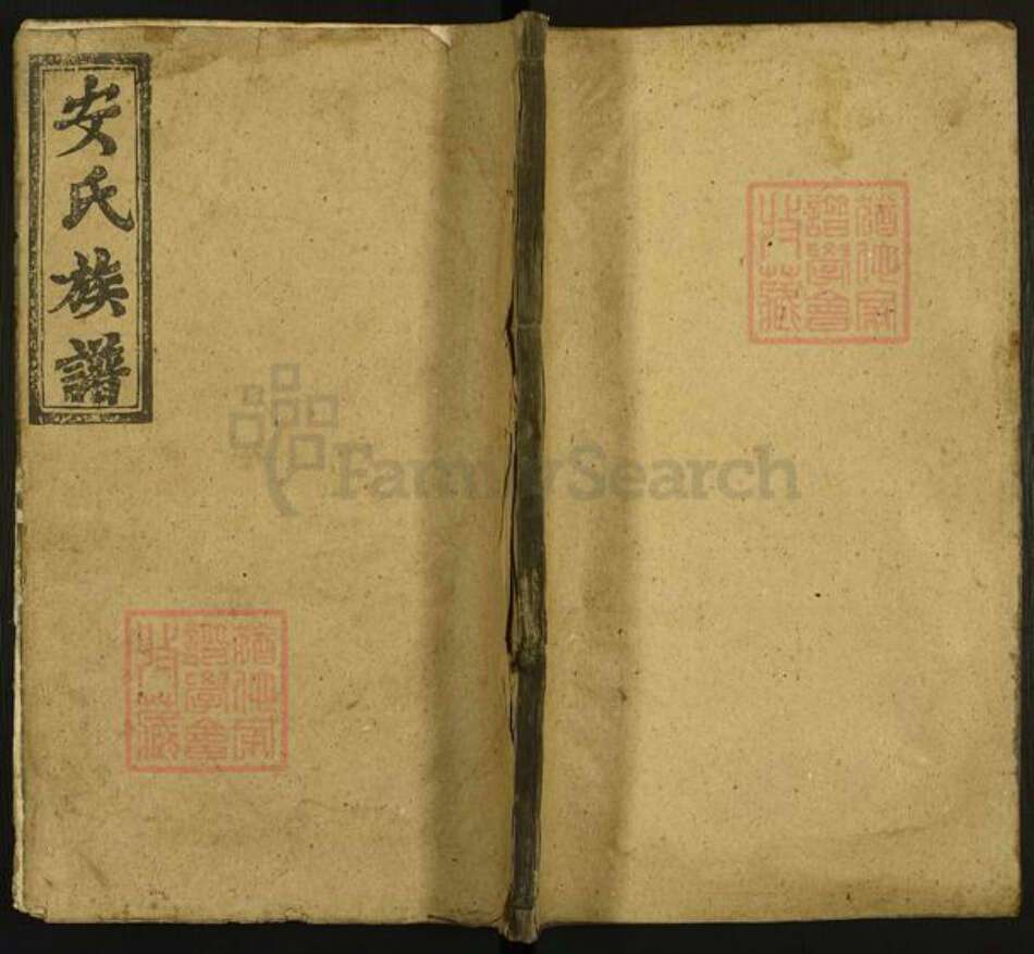 江西省吉安市泰和市沿溪镇安氏太原堂族谱-安氏族谱.pdf电子版缩略图