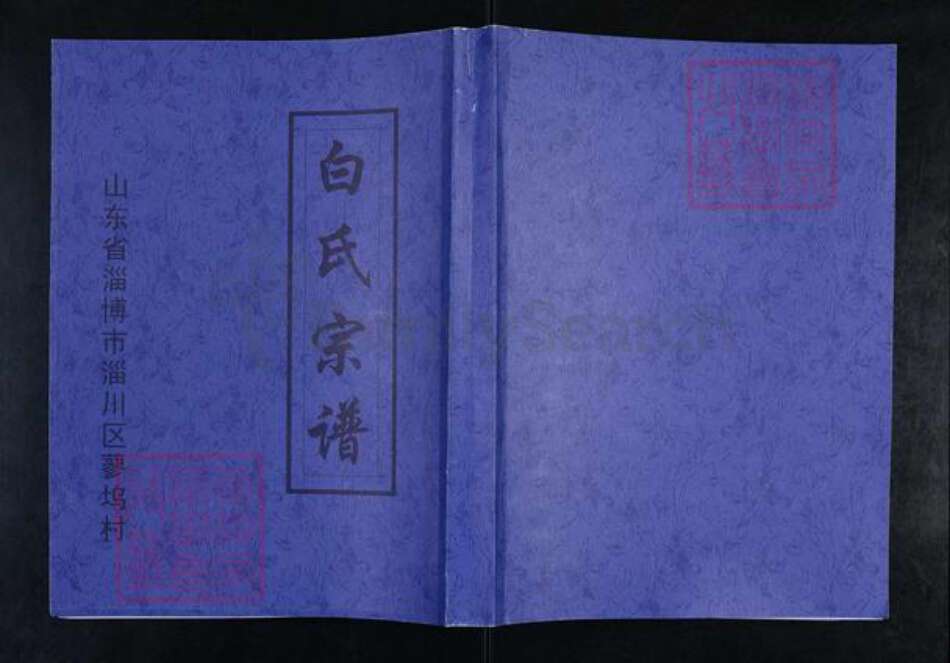 山东省淄博市淄川区白氏族谱-白氏宗谱.pdf电子版缩略图