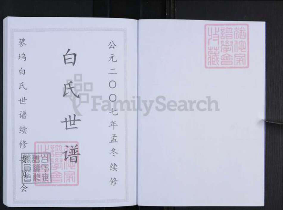 山东省淄博市淄川区白氏族谱-白氏宗谱.pdf电子版预览图2