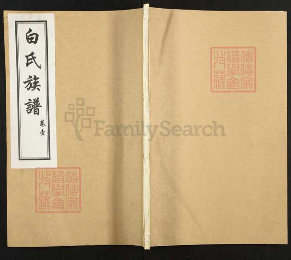 山东省济宁市汶上县义桥镇白氏族谱-白氏族谱.pdf电子版缩略图