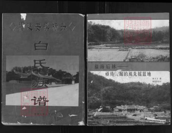 福建省泉州市安溪县龙门镇白氏族谱-福建安溪榜头白氏族谱.pdf电子版缩略图