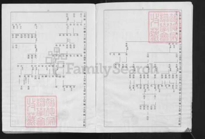 福建省泉州市安溪县龙门镇白氏族谱-福建安溪榜头白氏族谱.pdf电子版预览图3