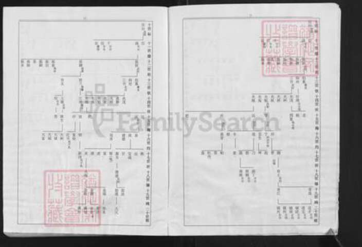 福建省泉州市安溪县龙门镇白氏族谱-福建安溪榜头白氏族谱.pdf电子版预览图4