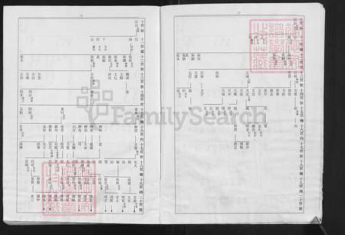 福建省泉州市安溪县龙门镇白氏族谱-福建安溪榜头白氏族谱.pdf电子版预览图5