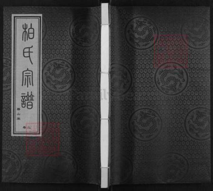 江苏省南京市江宁区柏氏碧山堂族谱-柏氏宗谱.pdf电子版