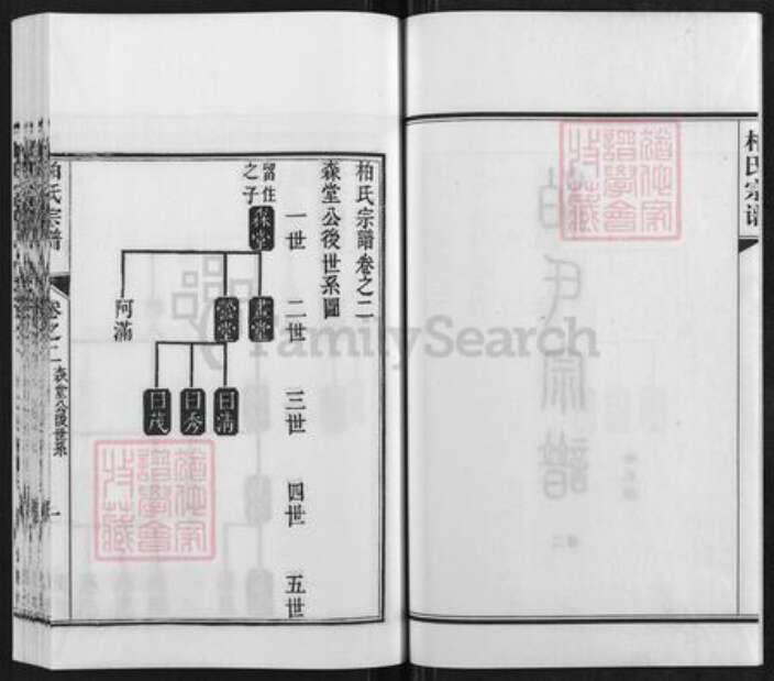 江苏省南京市江宁区柏氏碧山堂族谱-柏氏宗谱.pdf电子版预览图2
