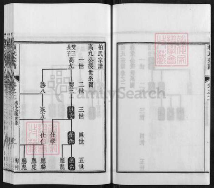 江苏省南京市江宁区柏氏碧山堂族谱-柏氏宗谱.pdf电子版预览图3
