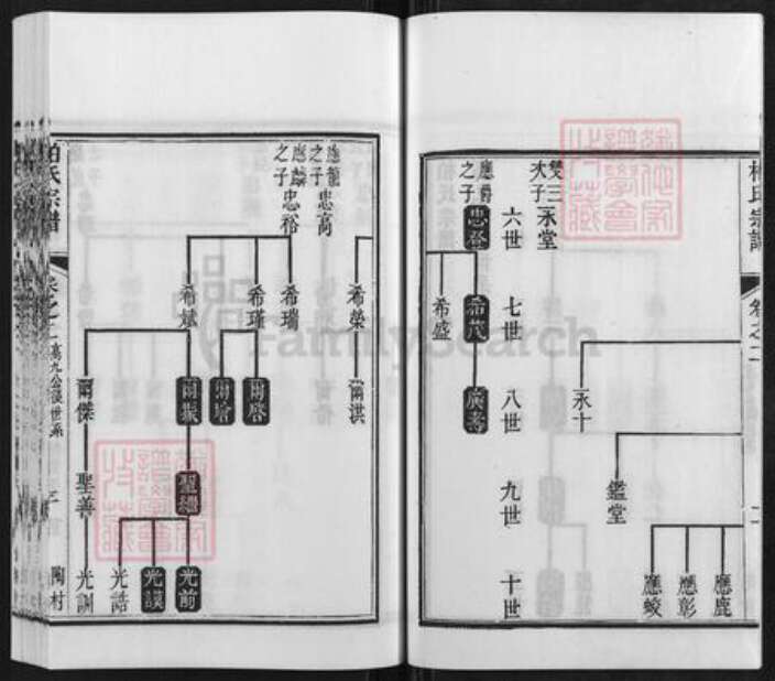 江苏省南京市江宁区柏氏碧山堂族谱-柏氏宗谱.pdf电子版预览图4