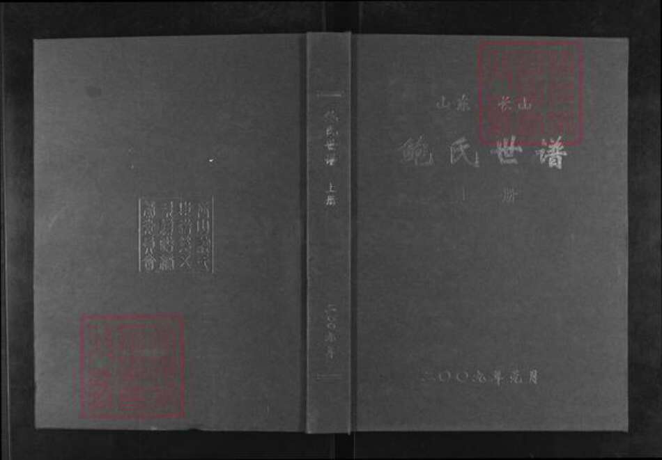 山东省滨州市邹平市长山镇鲍氏族谱-山东长山鲍氏世谱.pdf电子版缩略图