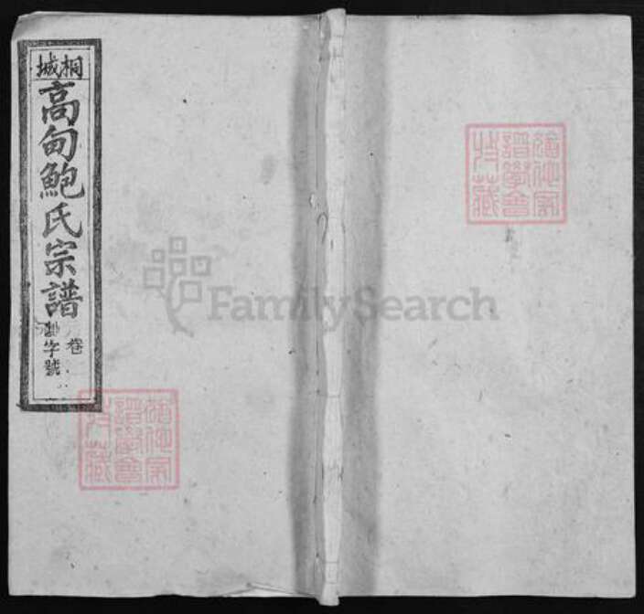 安徽省铜陵市枞阳县雨坛镇鲍氏敦叙堂族谱-桐城高甸鲍氏宗谱.pdf电子版缩略图