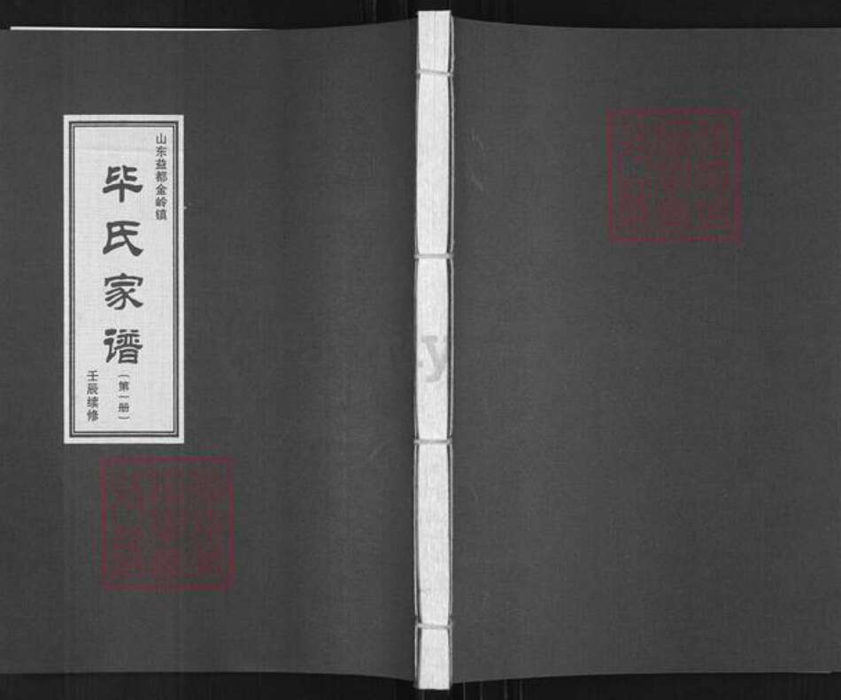 山东省淄博市临淄区金岭镇毕氏族谱-毕氏家谱.pdf电子版缩略图