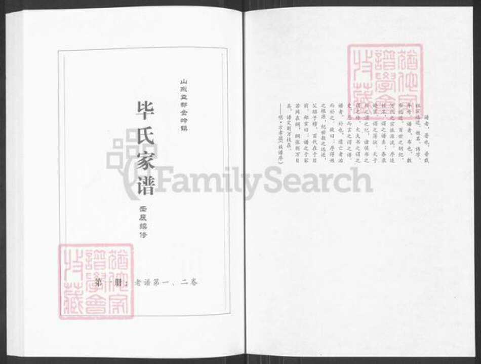 山东省淄博市临淄区金岭镇毕氏族谱-毕氏家谱.pdf电子版预览图1