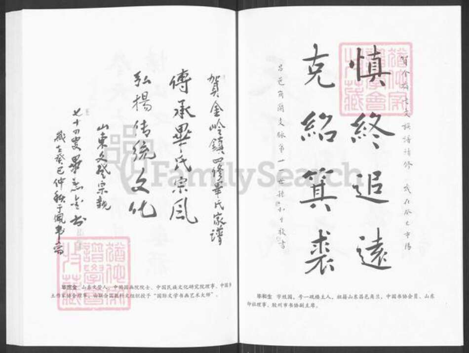 山东省淄博市临淄区金岭镇毕氏族谱-毕氏家谱.pdf电子版预览图5