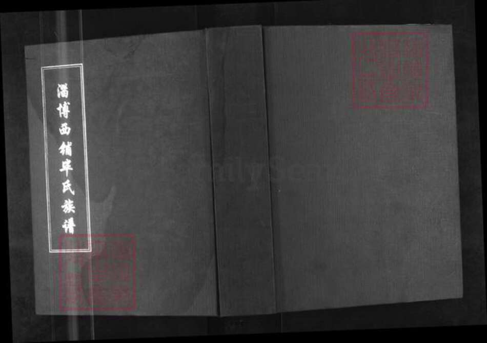 山东省淄博市淄川区毕氏族谱-淄博西铺毕氏族谱.pdf电子版缩略图