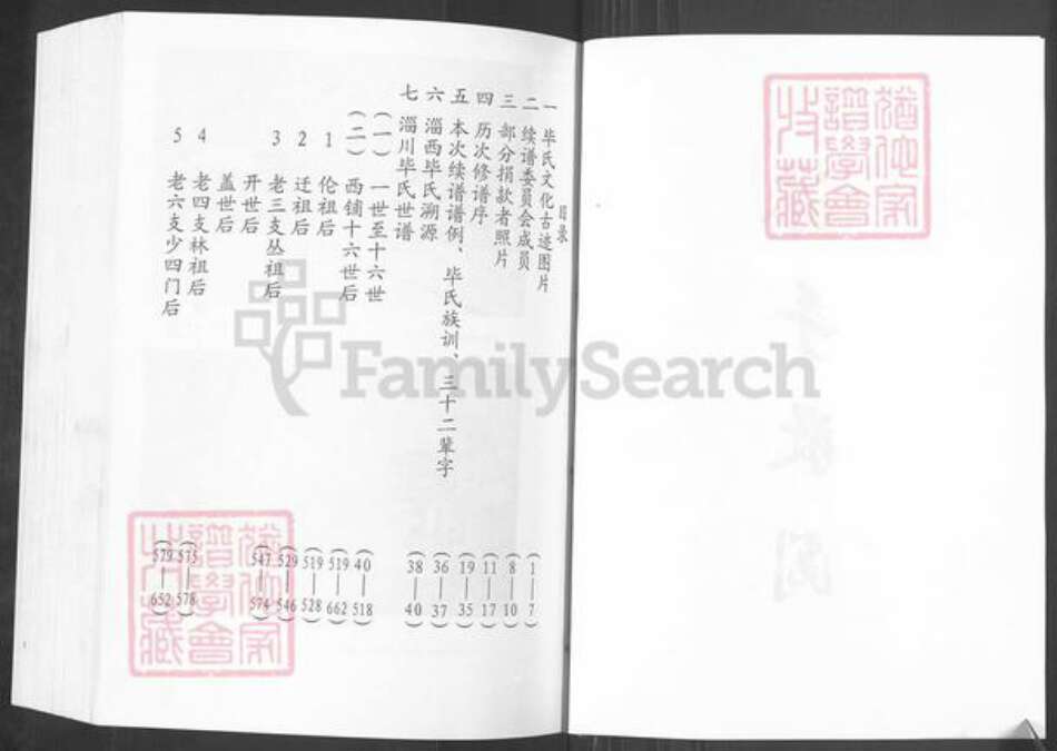 山东省淄博市淄川区毕氏族谱-淄博西铺毕氏族谱.pdf电子版预览图2