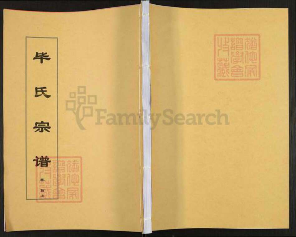 安徽省安庆市太湖县毕氏弼亮堂族谱-毕氏宗谱.pdf电子版缩略图