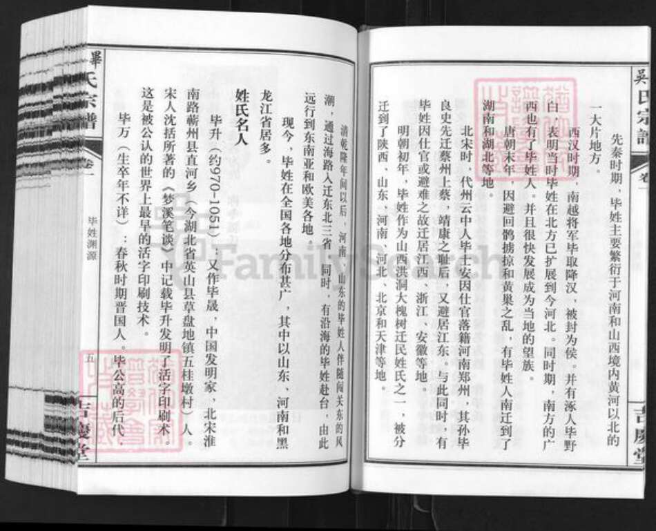 安徽省合肥市毕氏吉庆堂族谱-毕吴氏宗谱.pdf电子版预览图4