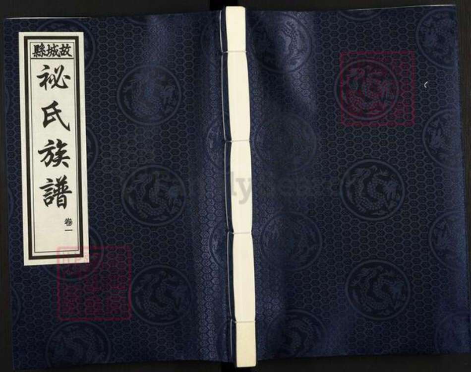 河北省衡水市故城县郑口镇袐氏族谱-故城县袐氏族谱.pdf电子版缩略图