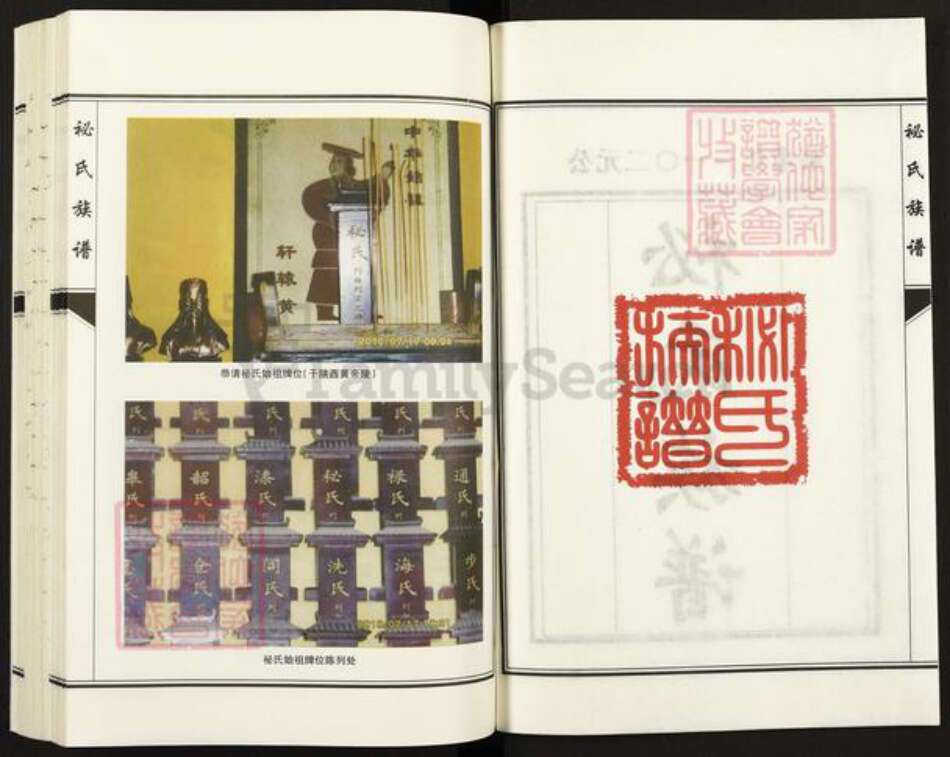 河北省衡水市故城县郑口镇袐氏族谱-故城县袐氏族谱.pdf电子版预览图2