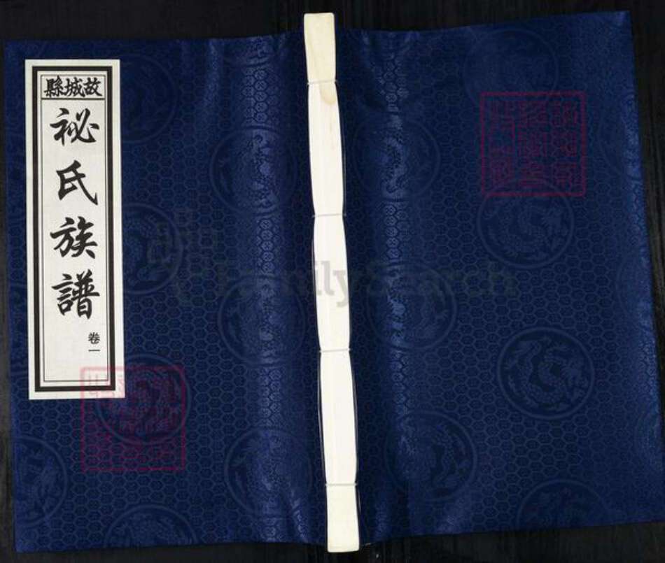 河北省衡水市故城县郑口镇袐氏族谱-袐氏族谱.故城县.pdf电子版缩略图