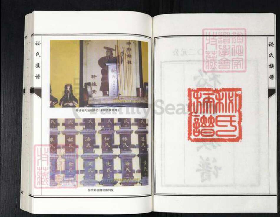 河北省衡水市故城县郑口镇袐氏族谱-袐氏族谱.故城县.pdf电子版预览图2