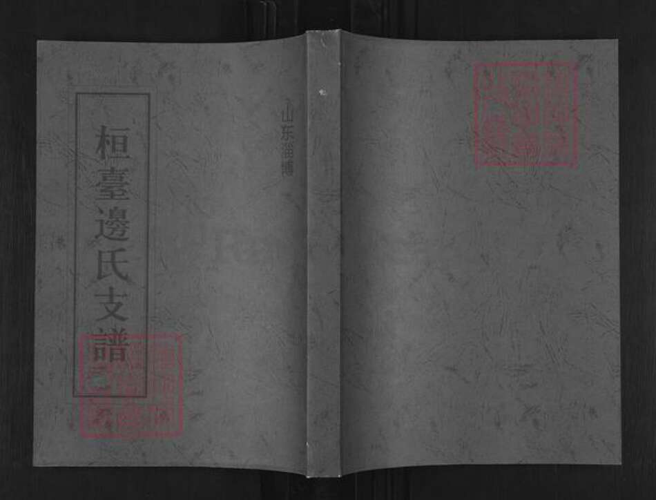 山东省淄博市桓台县新城镇边氏族谱-山东淄博桓台边氏支谱.pdf电子版缩略图