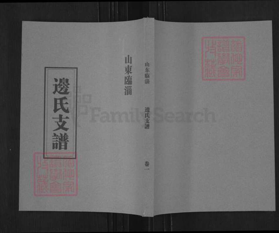 山东省淄博市临淄区凤凰镇边氏族谱-山东临淄边氏支谱.pdf电子版缩略图