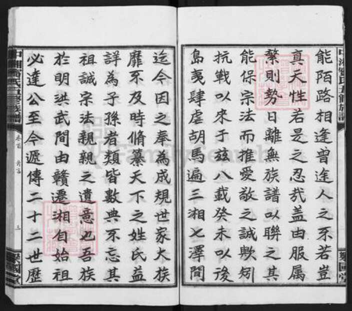 湖南省湘潭市宾氏梁国堂族谱-中湘宾氏族谱.pdf电子版预览图4