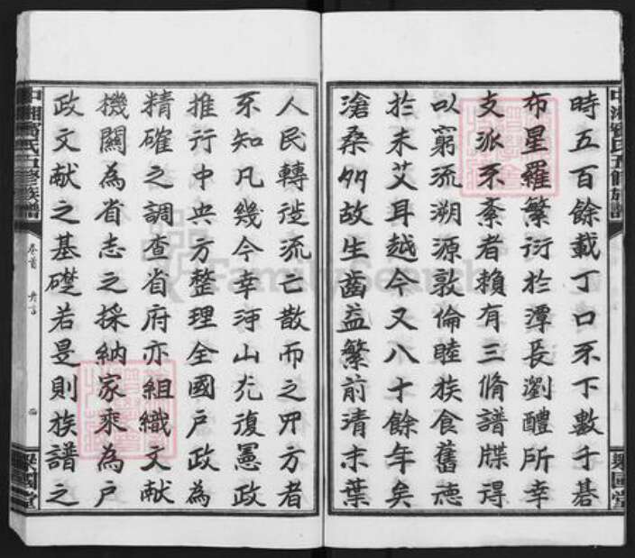 湖南省湘潭市宾氏梁国堂族谱-中湘宾氏族谱.pdf电子版预览图5