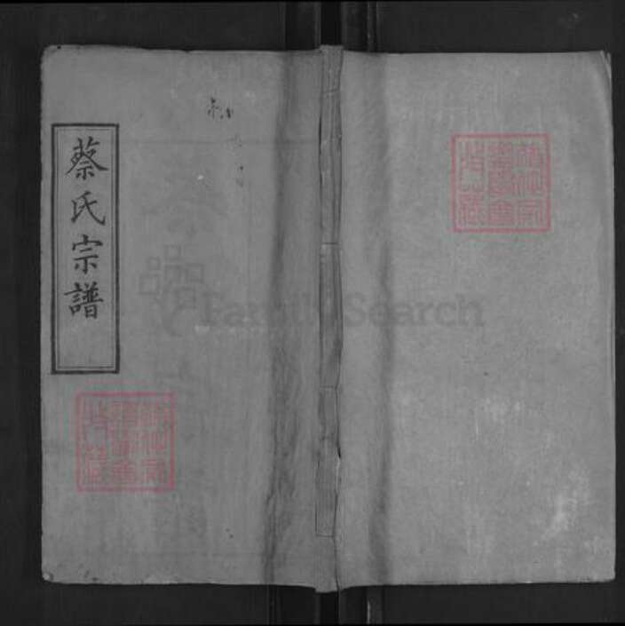 湖北省武汉市新洲区蔡氏九思堂族谱-蔡氏宗谱.pdf电子版缩略图