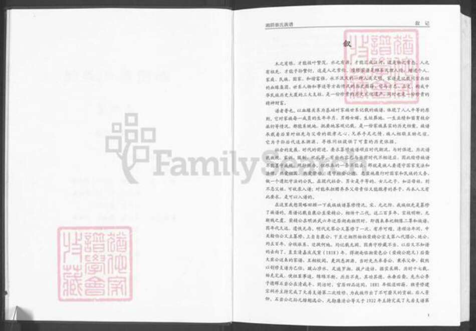 湖南省岳阳市湘阴县蔡氏洛阳堂族谱-湘阴蔡氏族谱.pdf电子版预览图3